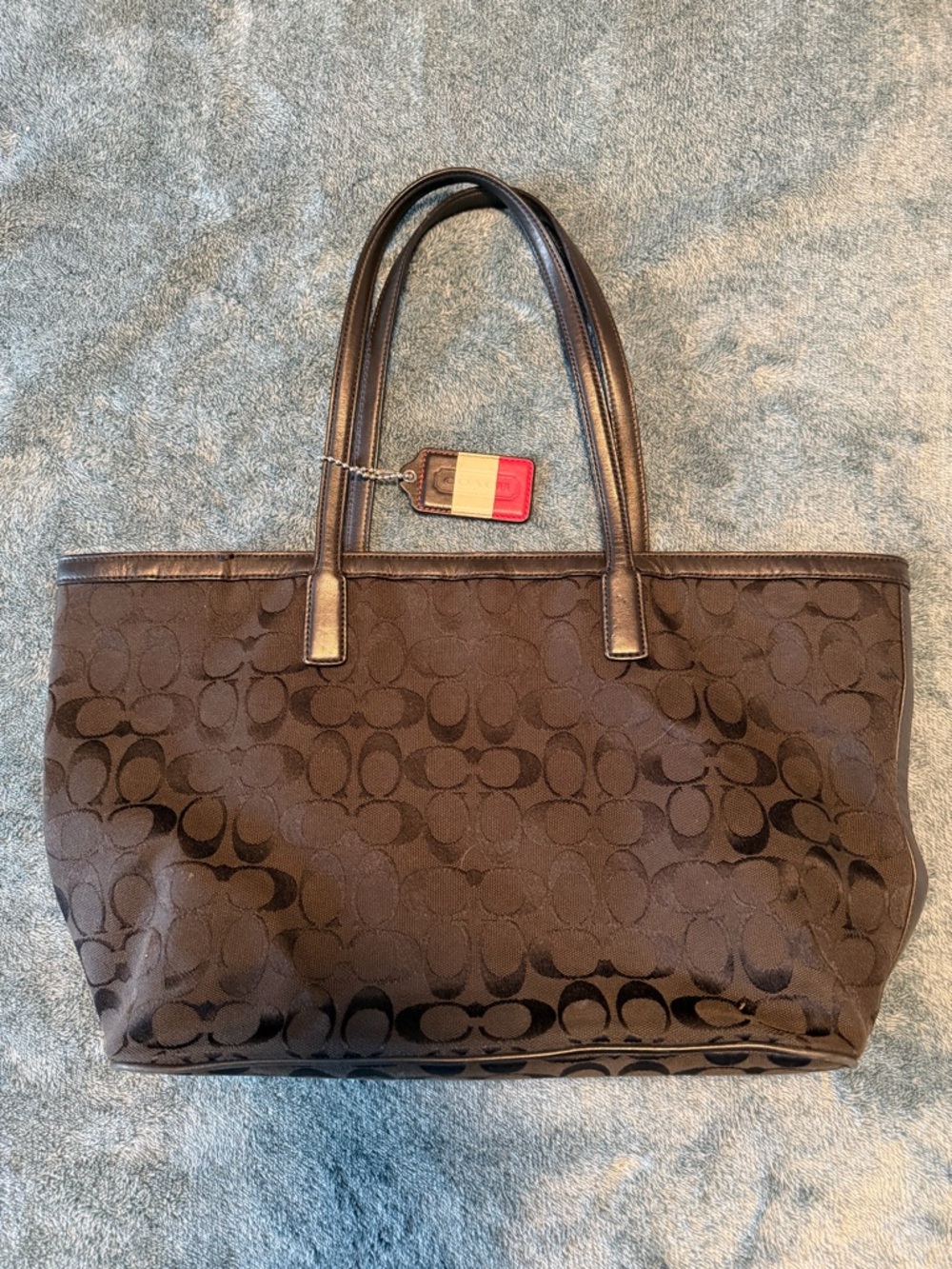 Coach Signature Canvas Tote Bag in Black